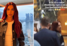 Pop star Dua Lipa in S’pore for 24 hours, fans spot her at MBS