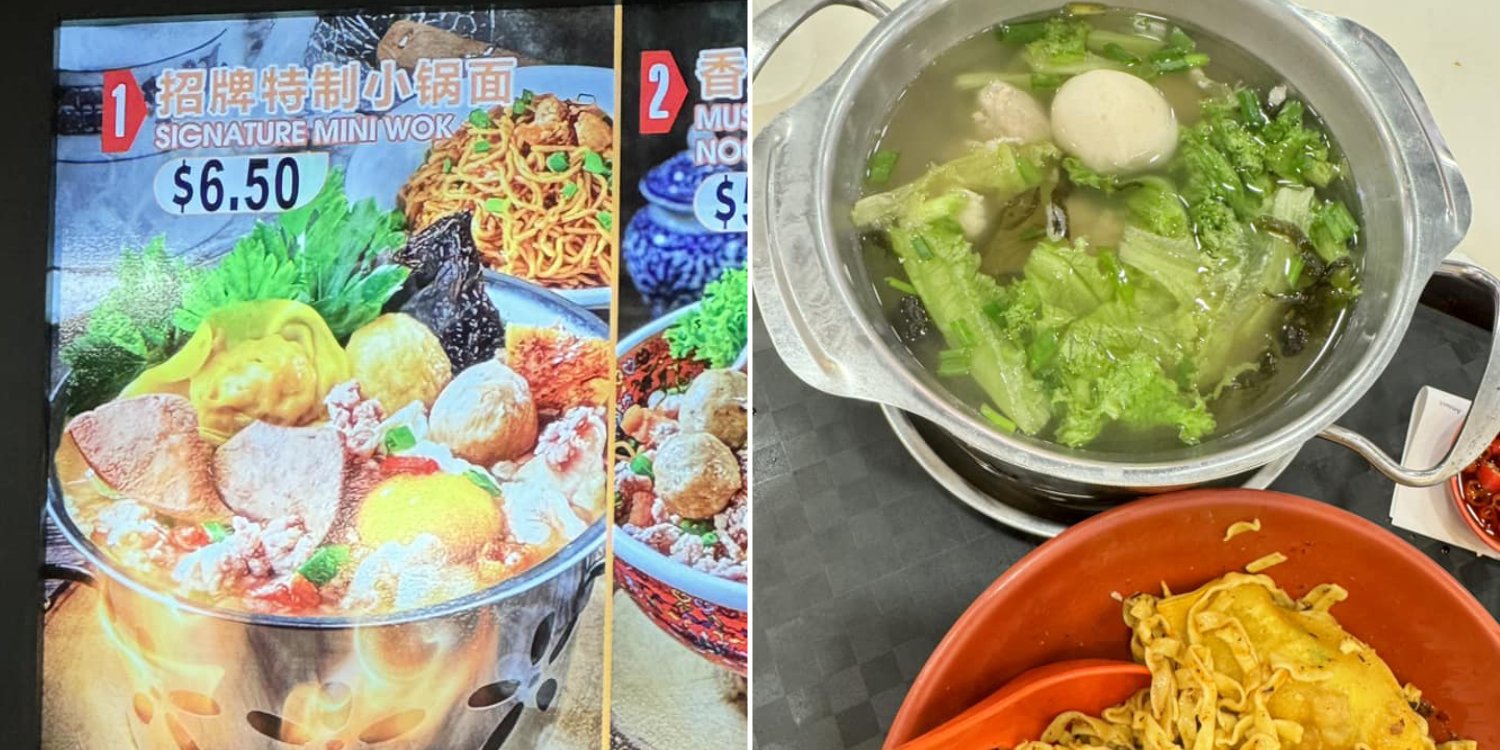 S6.50-noodles-at-Seletar-Mall-come-with-only-1-fishball-eatery-offers-to-compensate-customer.jpg