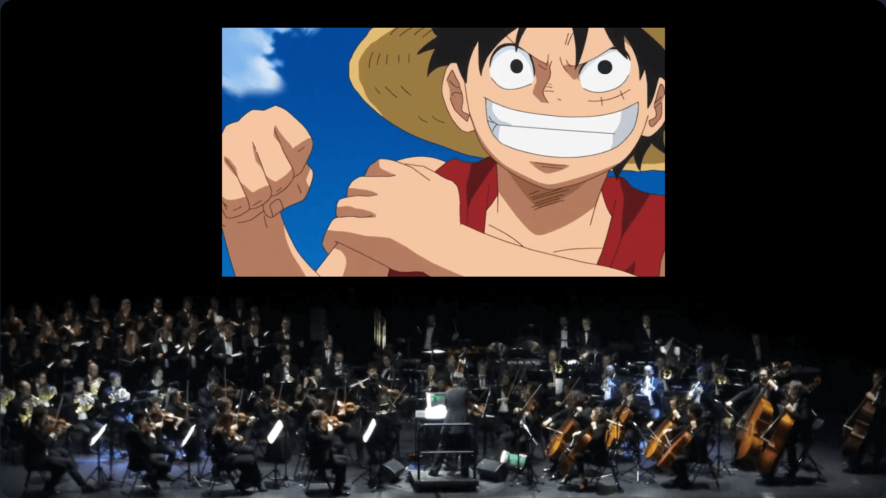 one piece concert