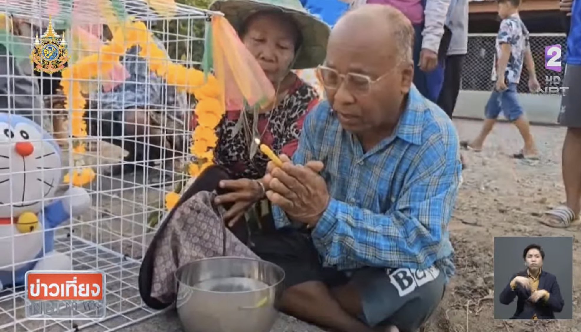 Cat Rain Making Ritual Thailand