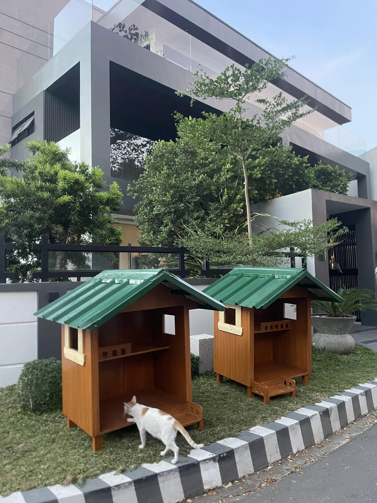 Cat houses Philippines 1