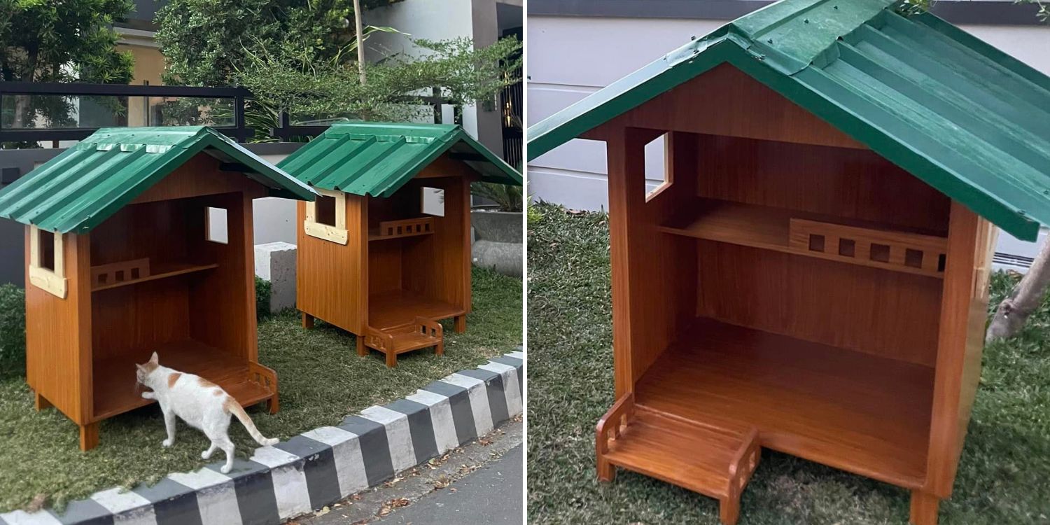 Cat houses philippines