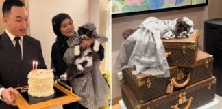 Cat in Malaysia birthday Louis Vuitton