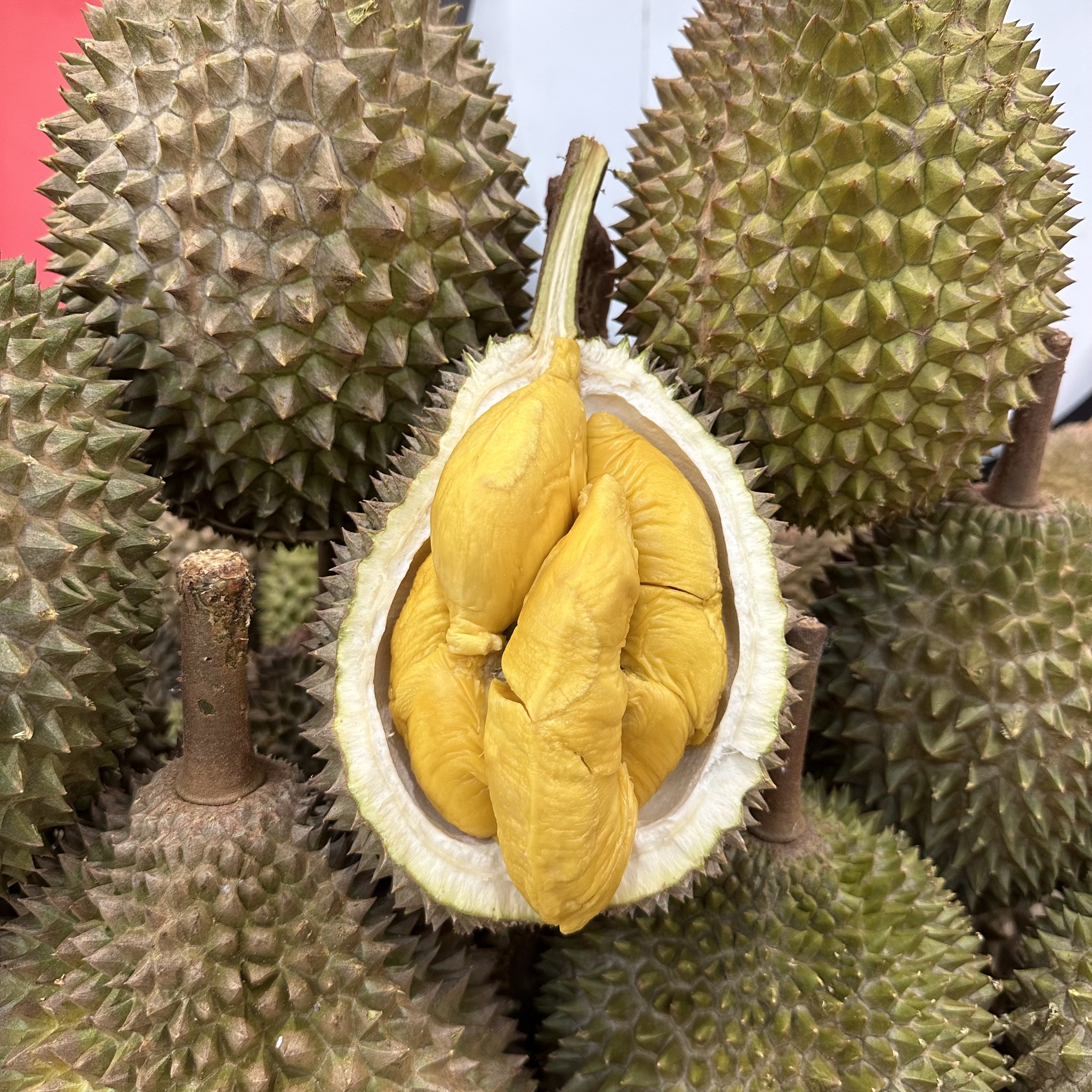 Durian Buffet