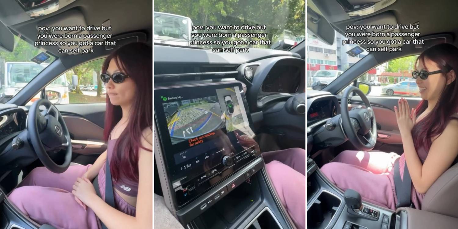 Netizens amazed after viral video shows S'pore woman's vehicle parking itself flawlessly