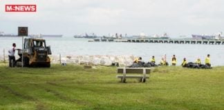 Oil spill: NEA East Coast Park beach clean-up