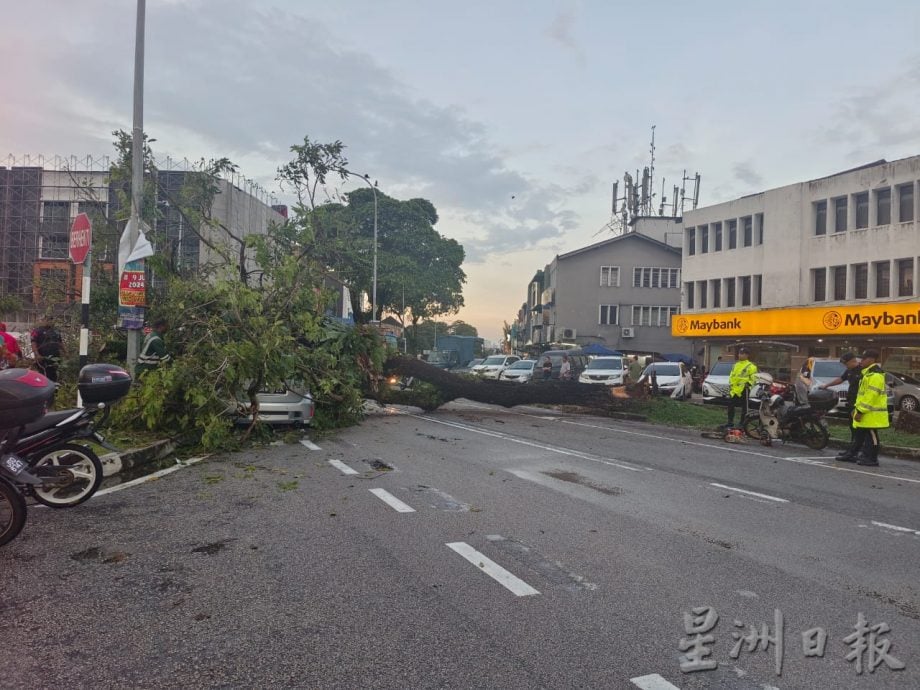 Massive tree crushes car Malaysia 3