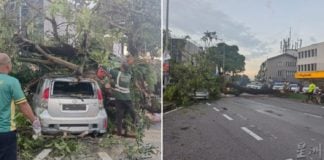 Massive tree crushes car Malaysia