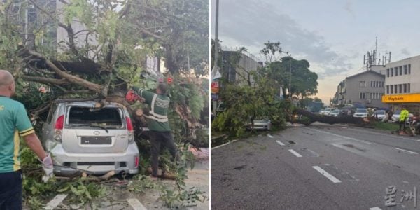 Massive tree crushes car Malaysia