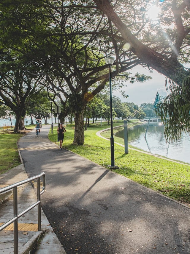 Singapore park greenery running