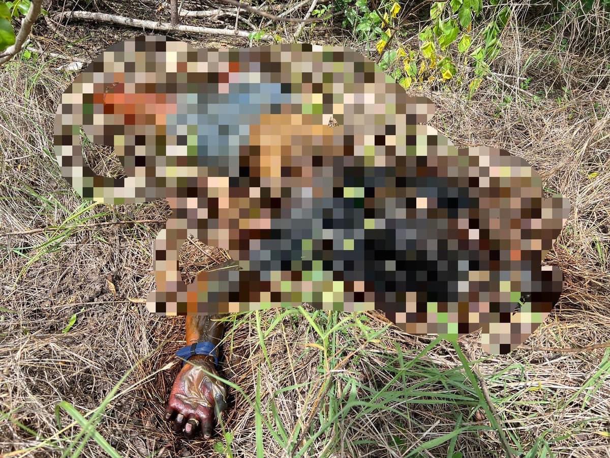 murdered girlfriend's corpse thailand 3