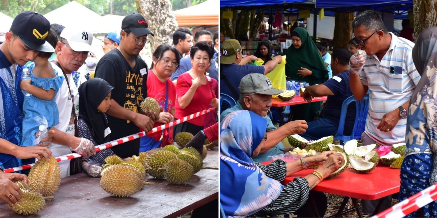 S$2.90 durian buffet in M’sia ends early after 17 tonnes of durians gobbled up