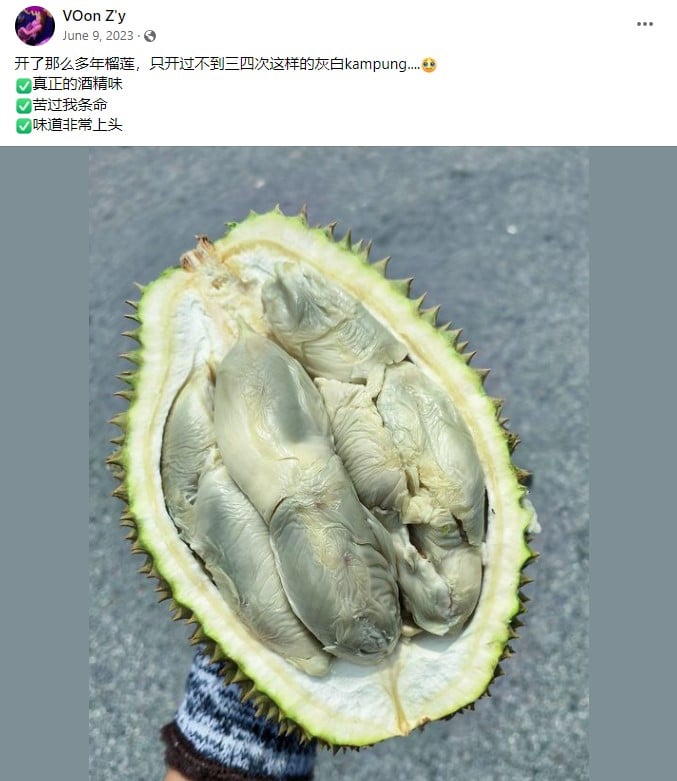 bruised durian
