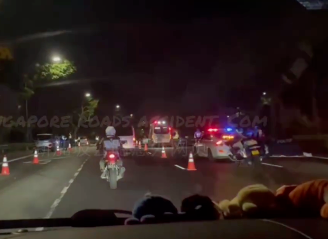 'Good Samaritan' driver gets hit by car & dies while attempting to help ...