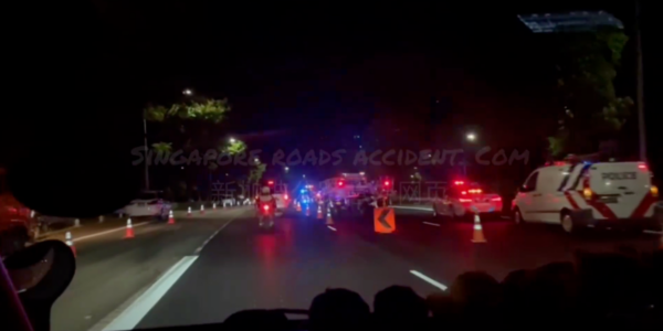 driver dies trying to help in sle accident