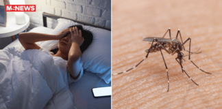 ‘Body felt like it was on fire’: 3 S’poreans share their ‘terrible’ experiences catching dengue thrice
