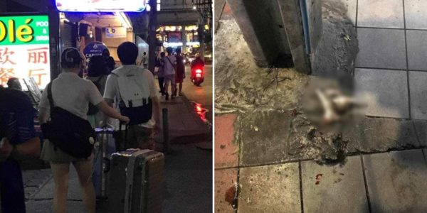 tourists crush stray kitten to death thailand