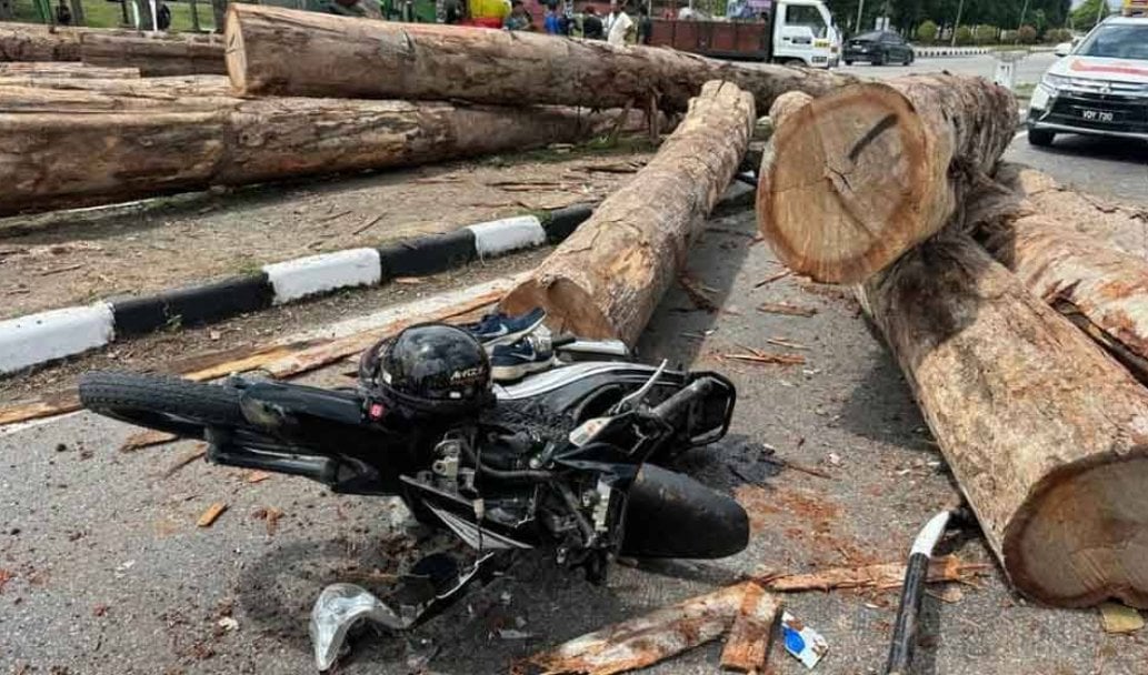 woman crushed by logs malaysia 1