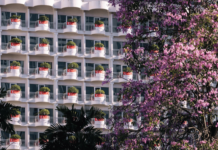 trumpet tree flowers