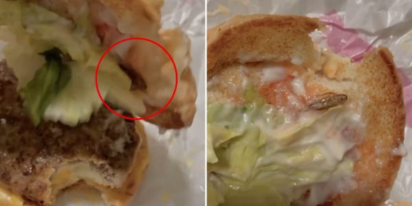 cockroach mcdonald's burger