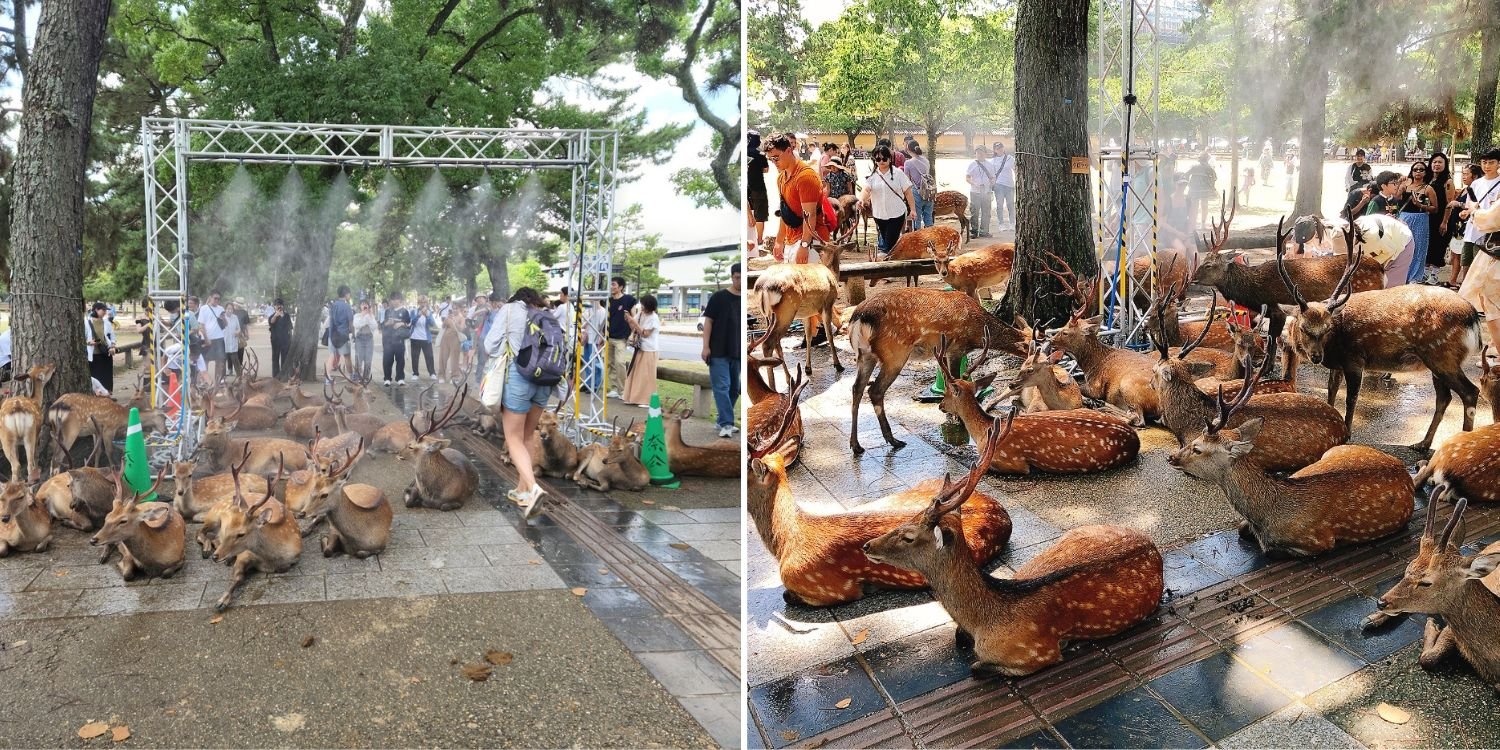 deer nara misting stations