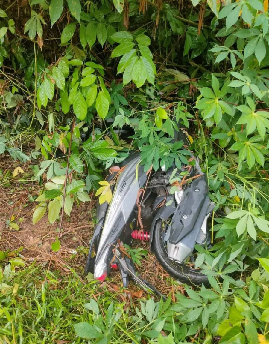 student struck fallen tree