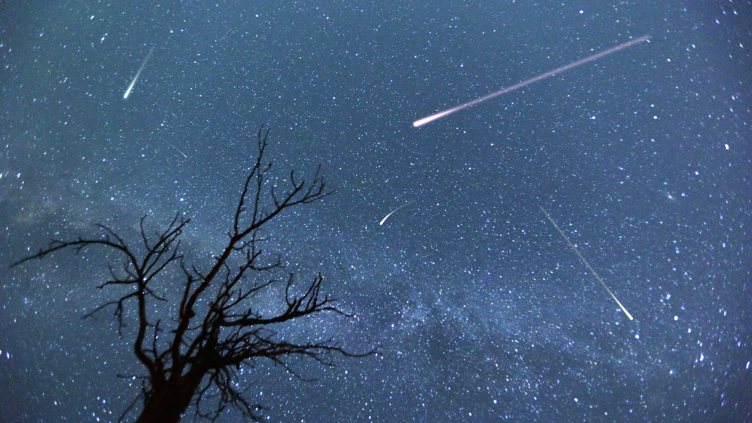 Perseid meteor shower to peak in S’pore on 12 & 13 Aug, weather