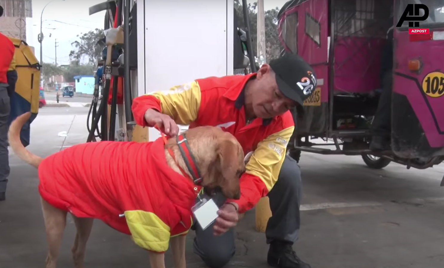 stray dog petrol station