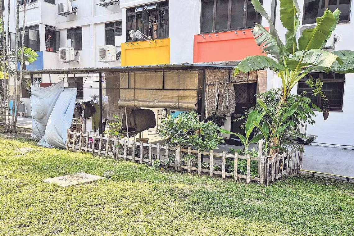 hdb backyards