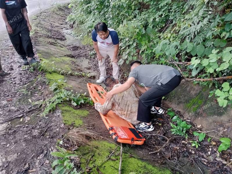 elderly man trampled elephant (3)