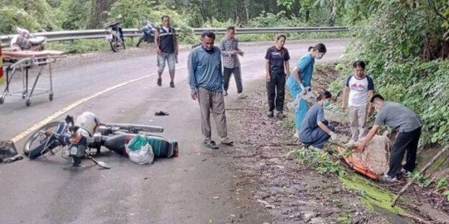 elderly man trampled elephant thailand