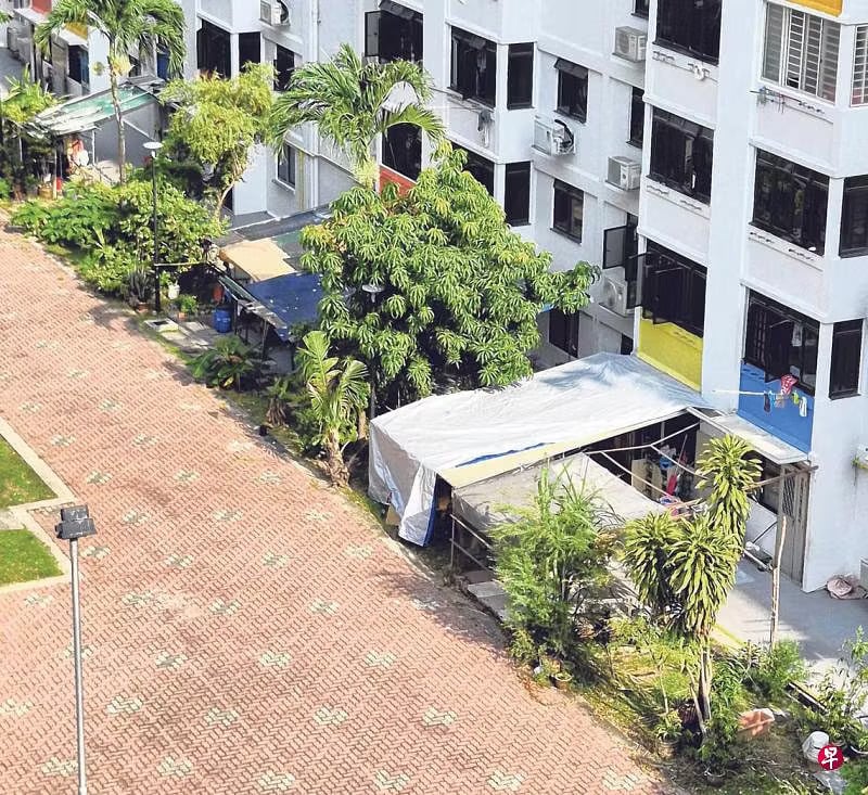 hdb backyards