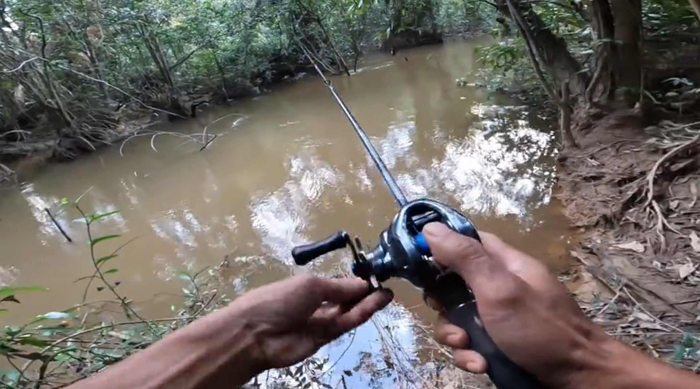 tiger fishing johor