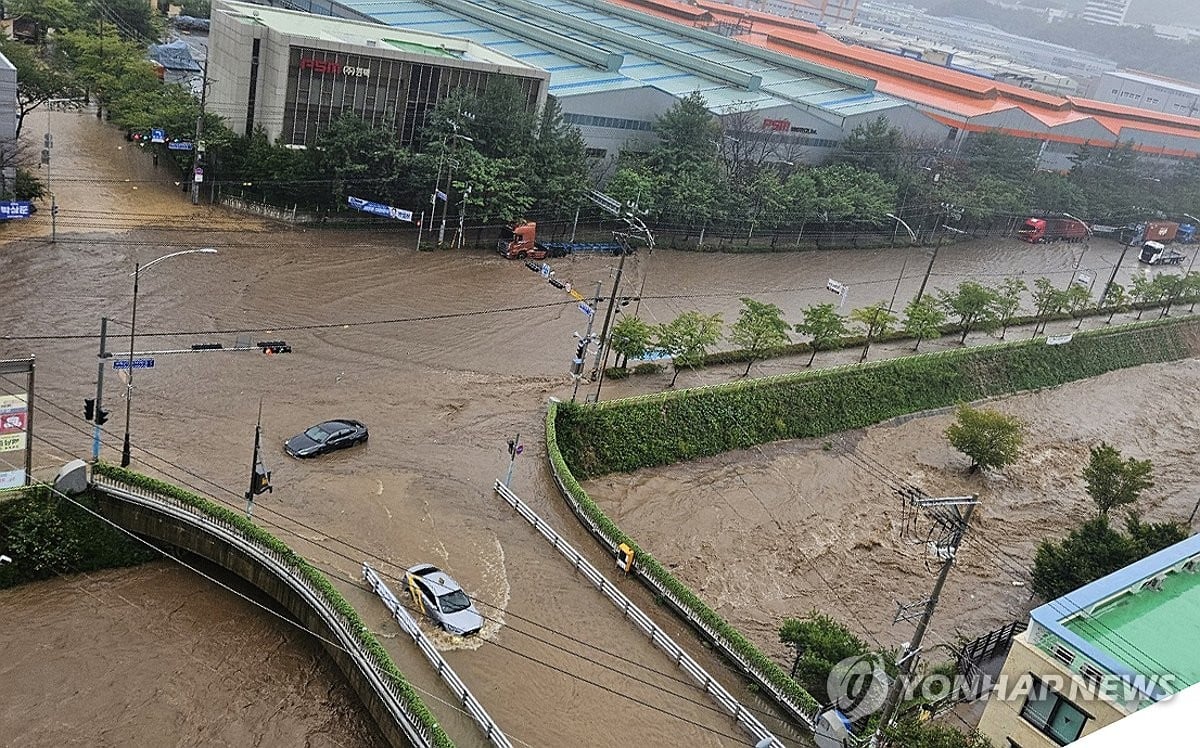 trucks sinkhole south korea (3)