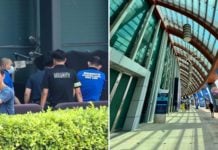 worker dies sentosa aquarium