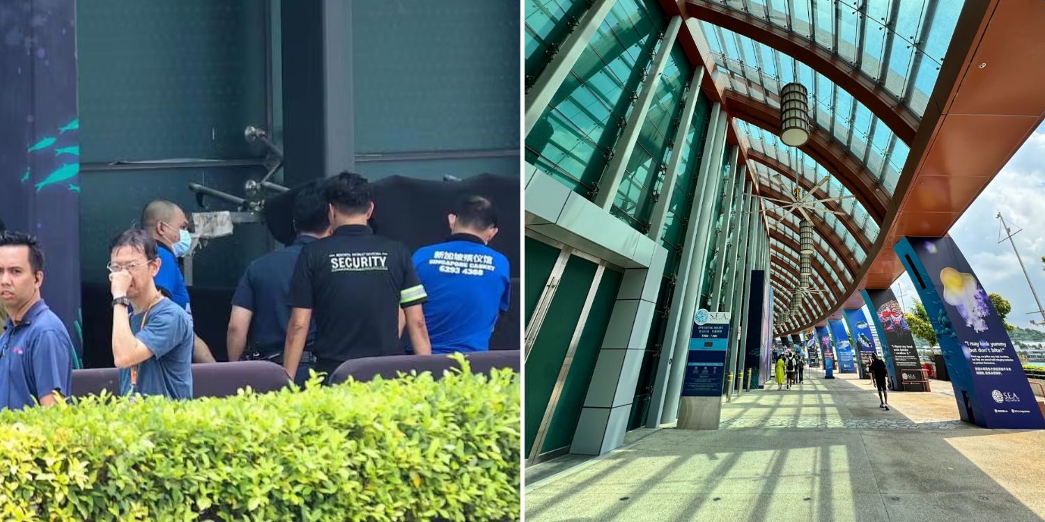 worker dies sentosa aquarium