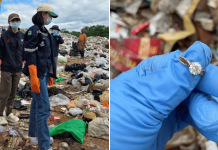 Woman loses diamond ring in Thailand, recovers it in landfill after 30-hour search