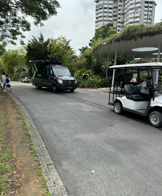 jurong lake gardens dead man 3 