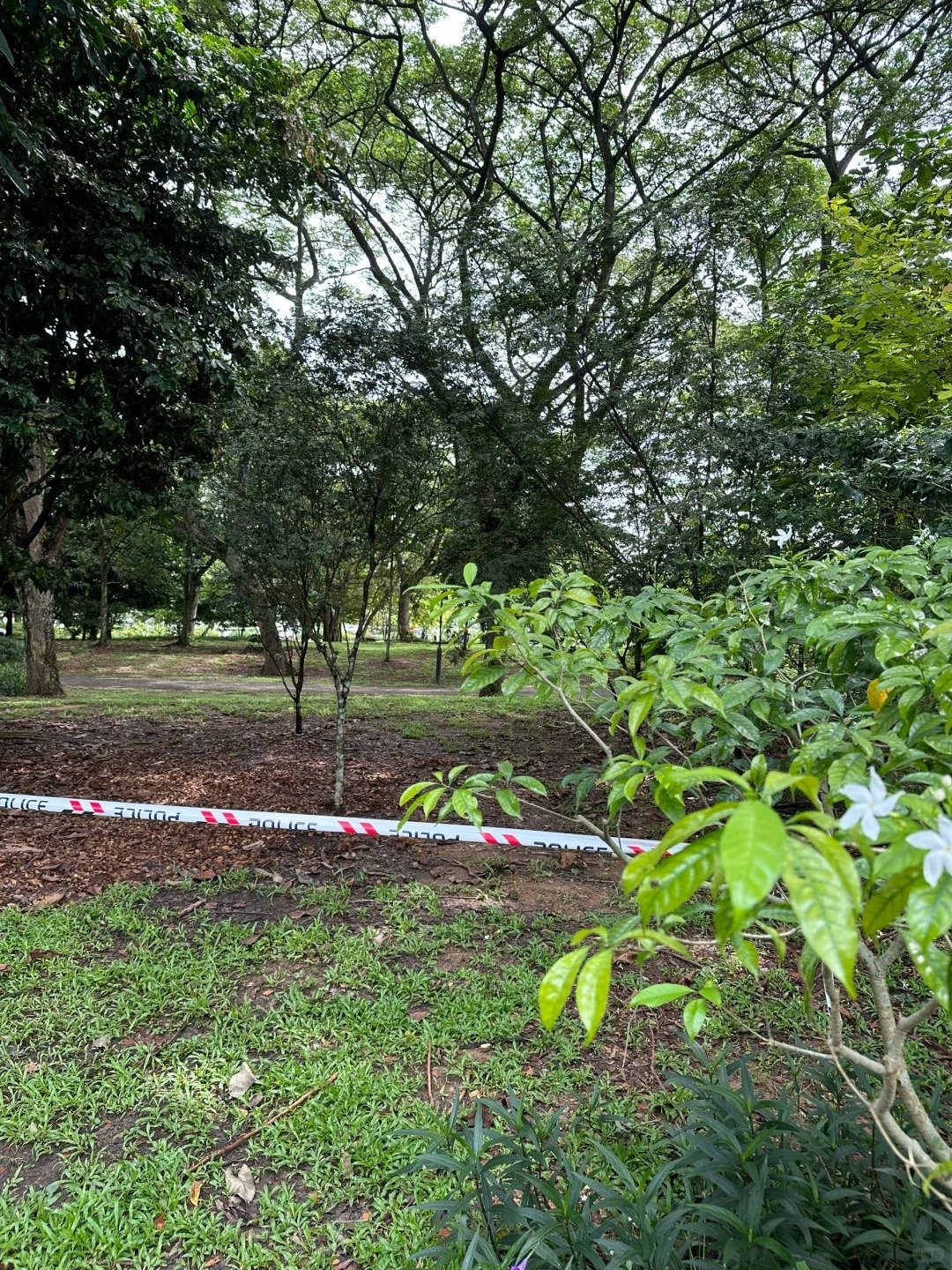 jurong lake gardens man dead