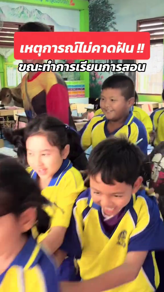 cow classroom thailand students