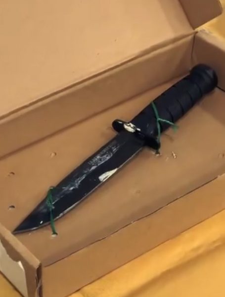 Man directs flamethrower at police in Pasir Ris Park, will be charged ...