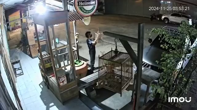 polite thief bird cages claim