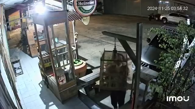 polite thief bird cages steal