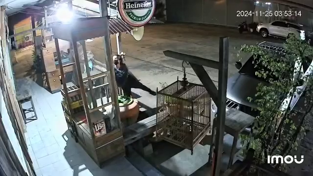 polite thief bird cages theft