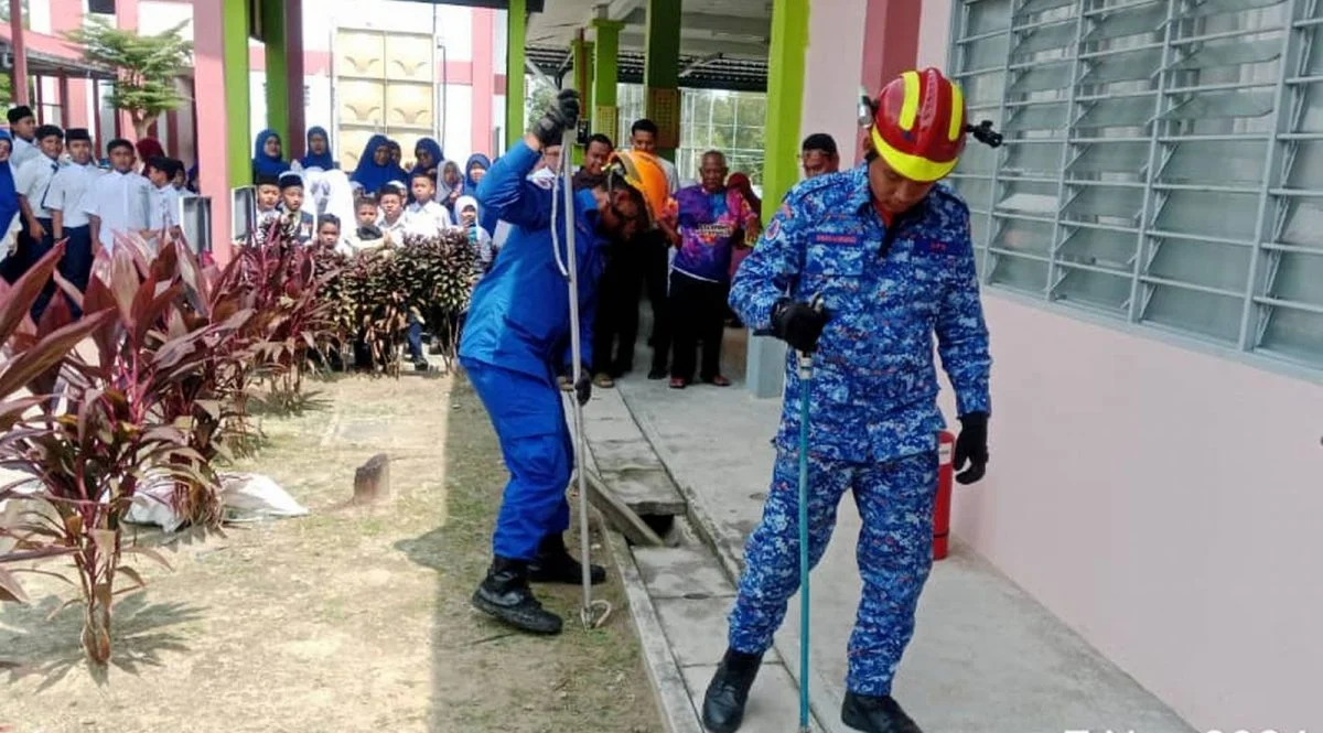 primary student finds python (3)