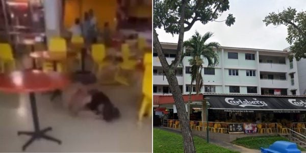 Man & woman get into fierce fight at Ang Mo Kio kopitiam, fined S$2,000 each