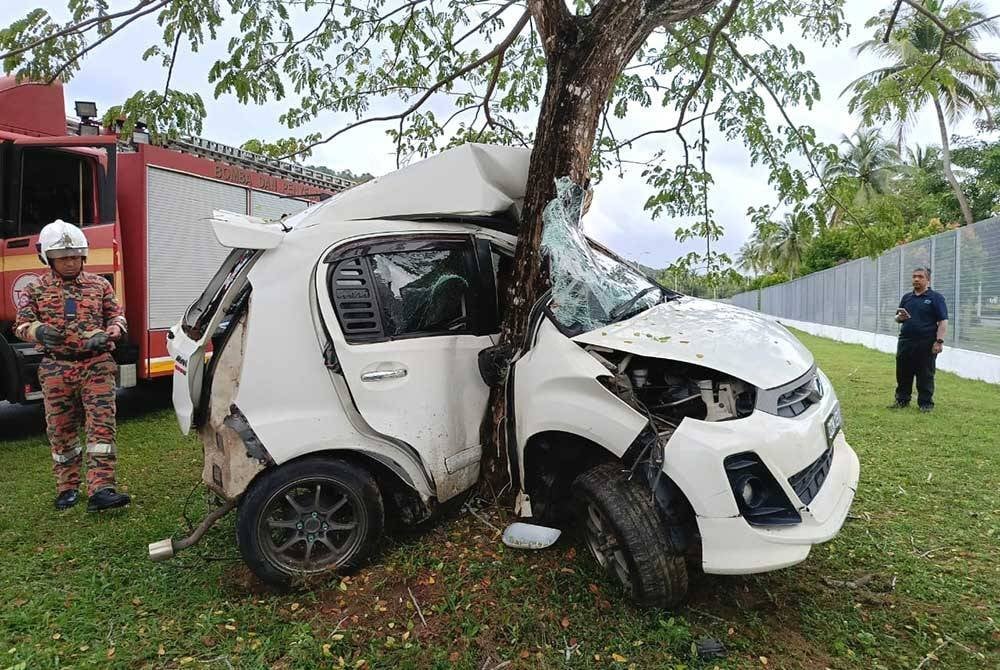 car bends around tree (1)