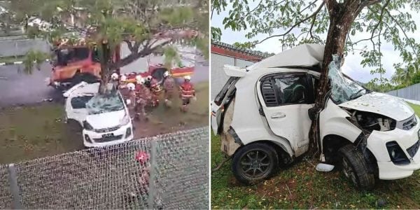 car bent around tree