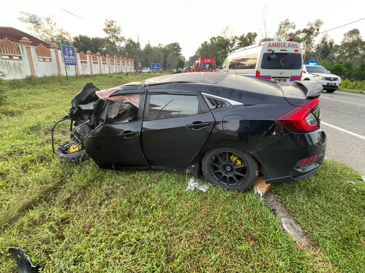 car crash cows (1)