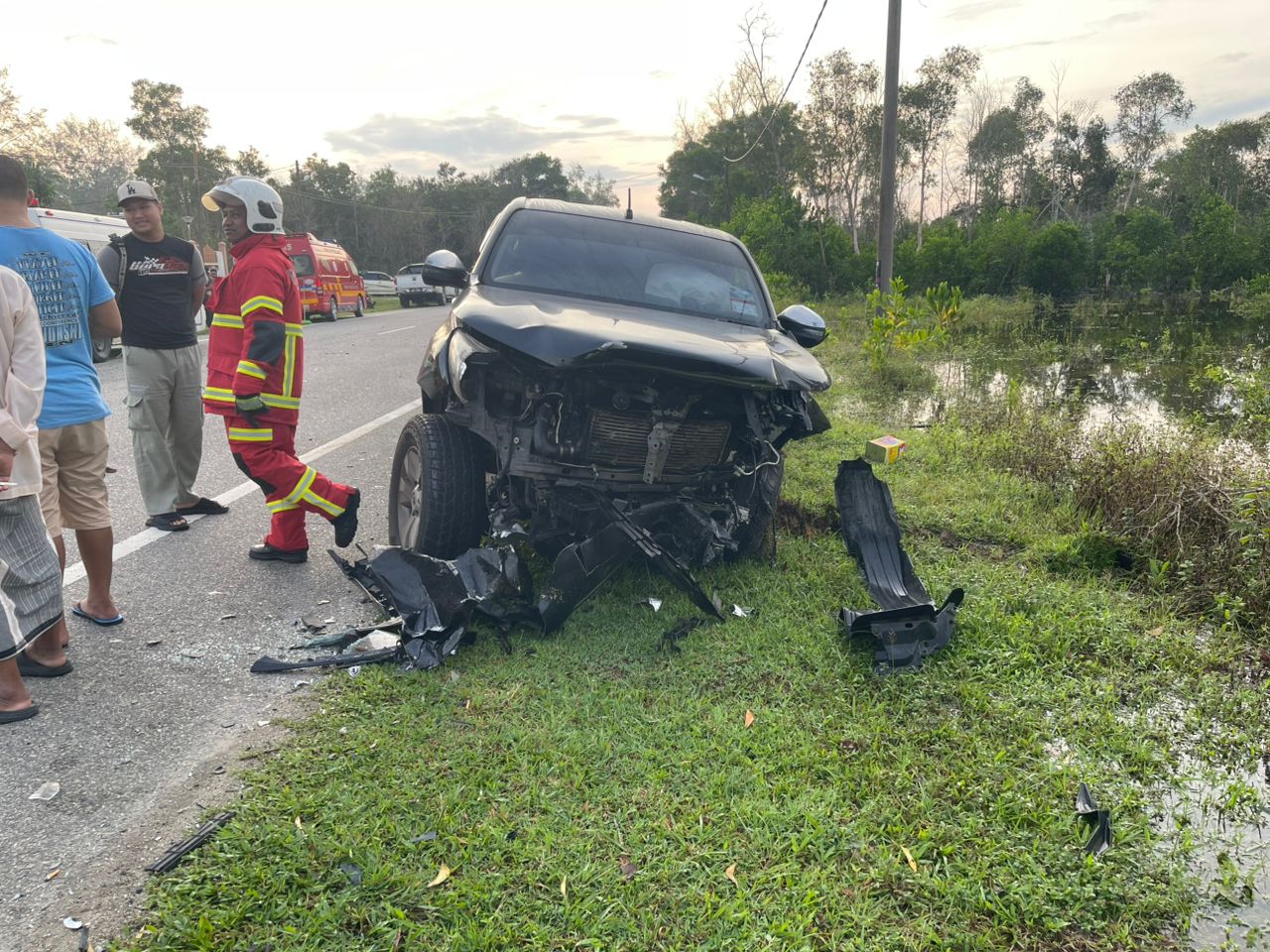 car crash cows (3)